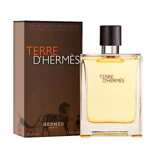 Hermes terre outlet 100 ml